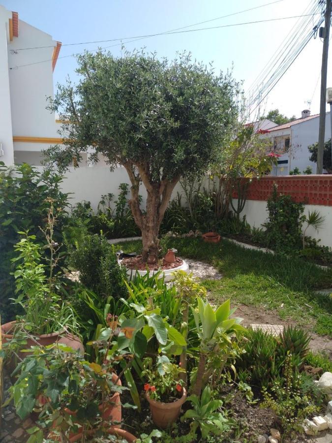 Appartement Casa Malaquias à Santo André Extérieur photo